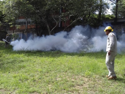 Convoca SSO participación de todas y todos para prevenir Dengue