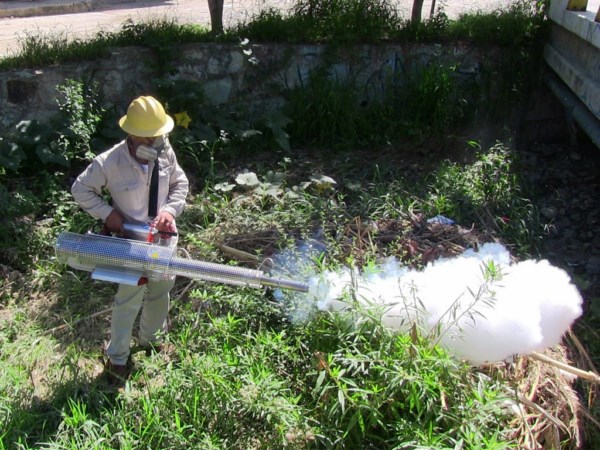 Se nebulizan 263  localidades de riesgo para dengue: SSO