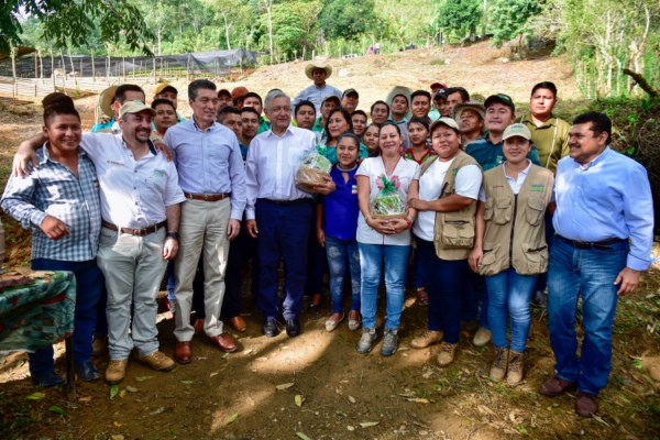 Presidente pide a beneficiarios de Sembrando Vida hacer uso efectivo del programa; supervisa vivero en Chiapas