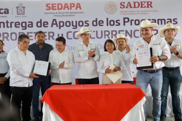 El campo de la Cuenca es la tierra más rica del país: AMH