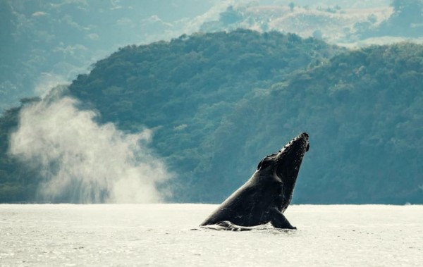 Nayarit combina bellezas naturales y seguridad