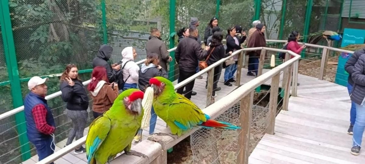 Presenta Turismo el top-ten de los destinos turísticos en Tamaulipas