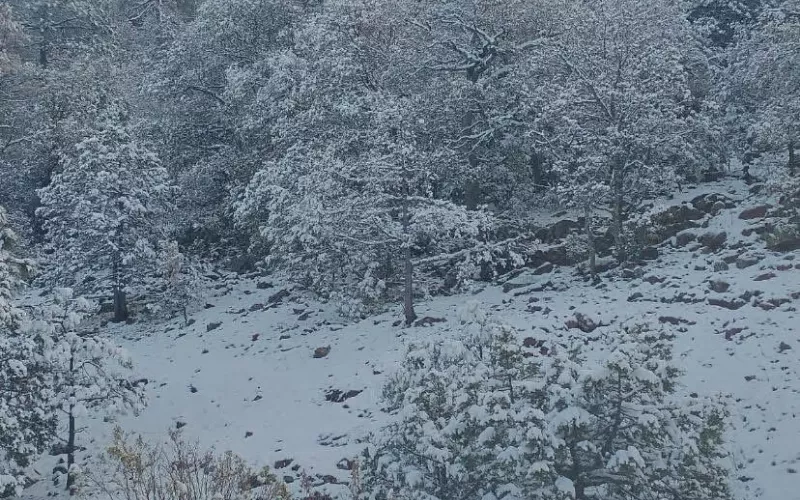 Mantiene Protección Civil pronóstico de lluvias y nevadas para el fin de semana