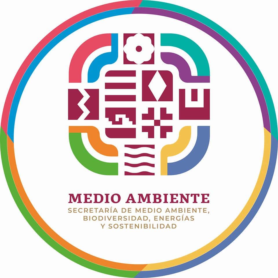 Amplía Gobierno de Oaxaca plazo de verificación vehicular para el 31 de agosto
