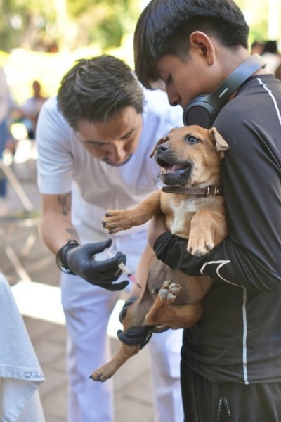 Arranca SSO Campaña Estatal de Vacunación Antirrábica Canina y Felina 2026