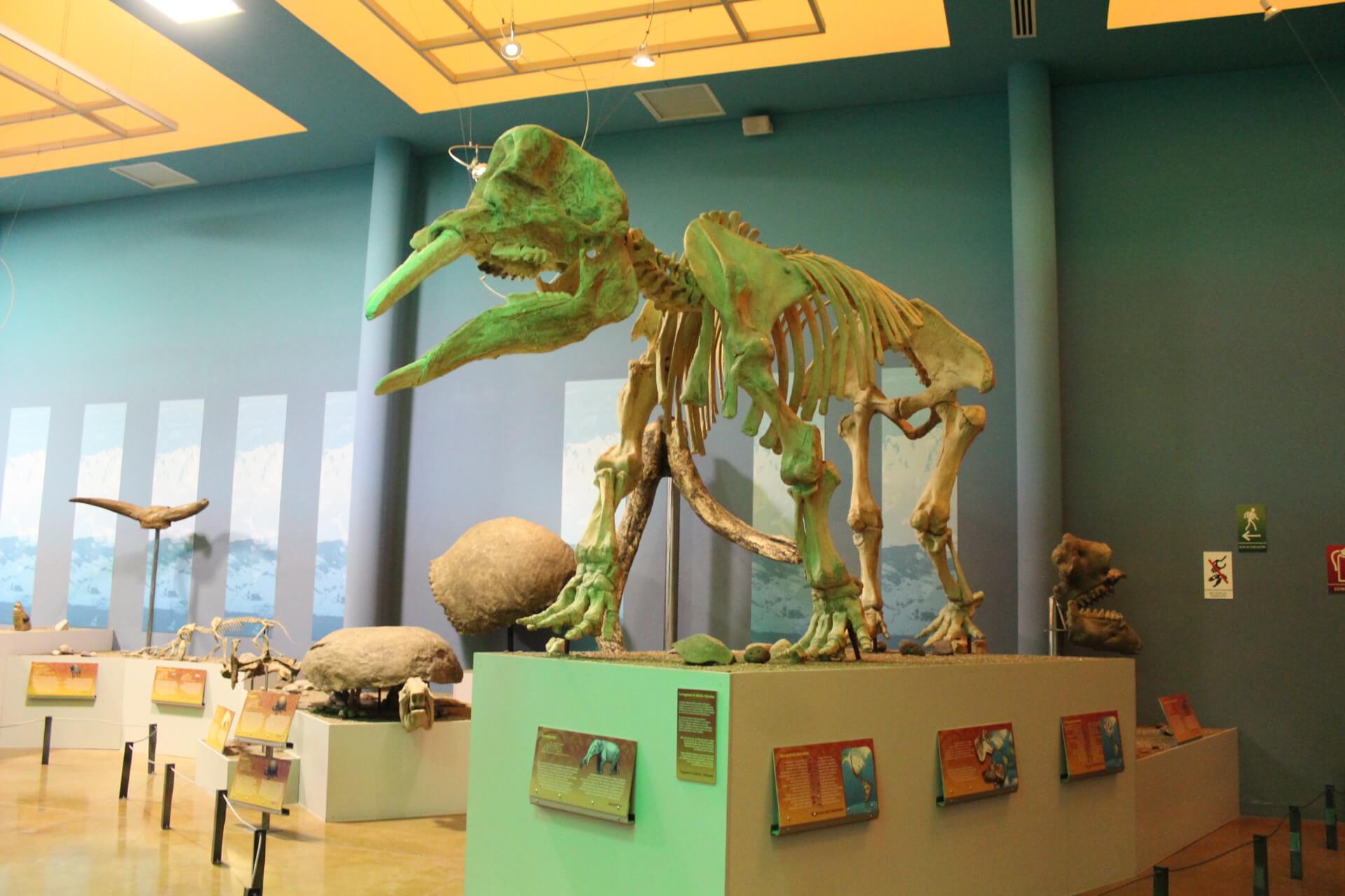 Reanudan actividades museos a cargo del Estado tras periodo vacacional