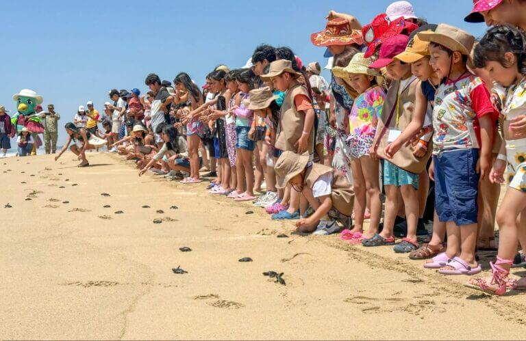Pequeñas tortugas, grandes recuerdos: infancias viven experiencia única en Acapulco