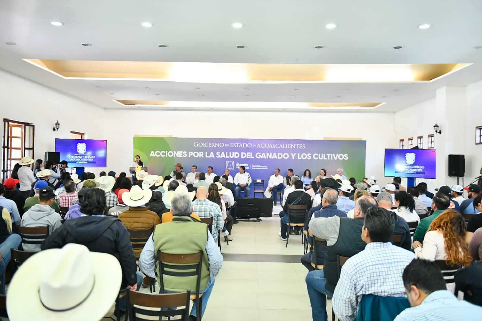 TERE JIMÉNEZ PONE EN MARCHA PROGRAMA PARA FORTALECER LA SANIDAD DEL CAMPO E IMPULSAR PRODUCTOS DE CALIDAD Y EXPORTACIÓN