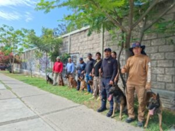 SGIRPCGRO, imparte el curso de Búsqueda y Rescate en Estructuras Colapsadas y Espacios Abiertos dirigido al personal de la Unidad Canina