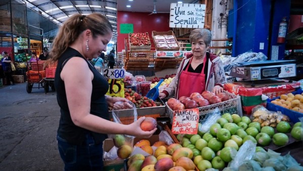 Impulsa Jalisco Plan Integral para fortalecer la sanidad del mango