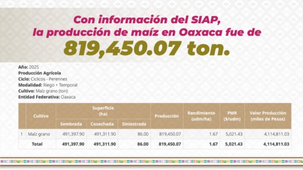 Oaxaca lo logró: alcanza autosuficiencia en producción de maíz