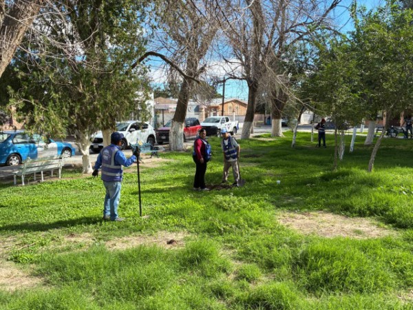 Arranca Gobierno del Estado jornada de reforestación en el Fraccionamiento Monumental