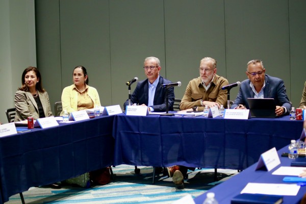 Del Prete destaca rumbo económico ante consejo de participación ciudadana