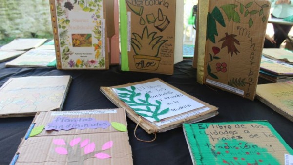 ENCUENTRO DE MEDICINA ANCESTRAL INTERCULTURAL REUNIRÁ SABERES TRADICIONALES EN AXTLA DE TERRAZAS