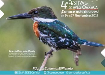 distintas especies de aves en el equilibrio ecológico, así como de su belleza natural.