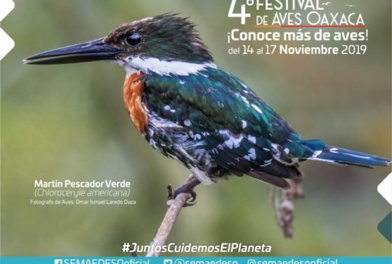 distintas especies de aves en el equilibrio ecológico, así como de su belleza natural.