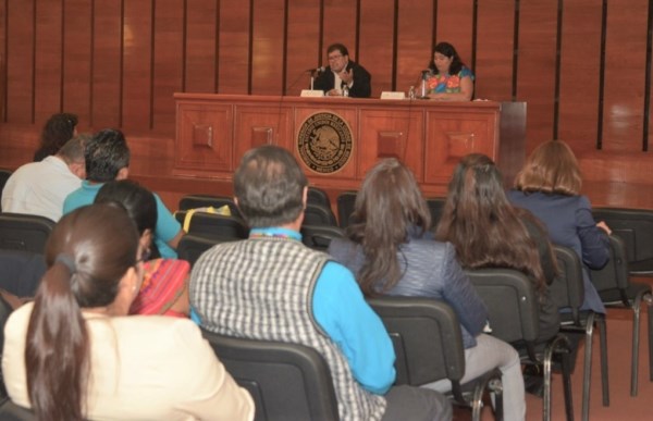 “El acceso a la justicia, de acuerdo a los estándares internacionales, no se agota nada más con el acceso a los tribunales del Estado