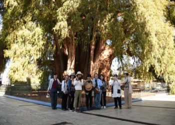 generar contenidos de difusión cultural y turística para el mercado japonés