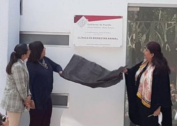 Cuenta Puebla con Clínica de Bienestar Animal