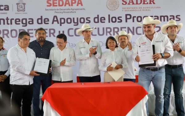 El campo de la Cuenca es la tierra más rica del país: AMH