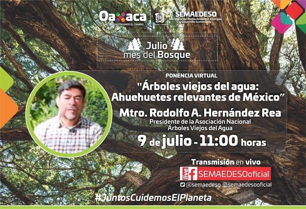   En el marco del Día Nacional del Árbol, Alfredo Hernández Rea ofrecerá una conferencia