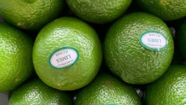 ·         El limón persa y el mango, se colocan en mercados de Estados Unidos, Europa y Asia