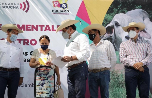 El 70% del ganado del estado se produce en los municipios de Tierra Caliente