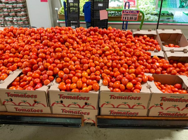-El tomate cosechado en la Sierra Norte es comercializado en Texas y Oklahoma.