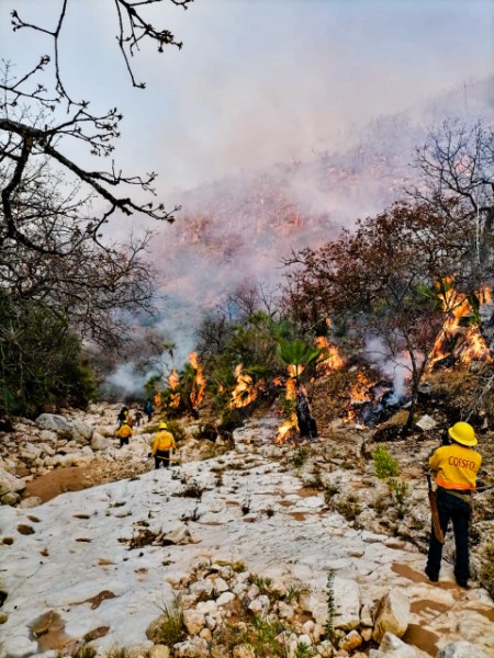 ·         Se mantienen cinco incendios forestales activos en la entidad