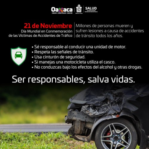 ·         El tercer domingo de noviembre se conmemora el Día Mundial en Recuerdo de las Víctimas de Accidentes de Tráfico