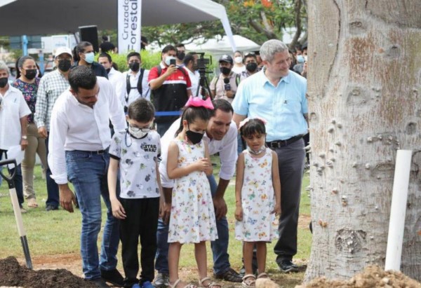 han plantado más 241 mil árboles en la capital yucateca.