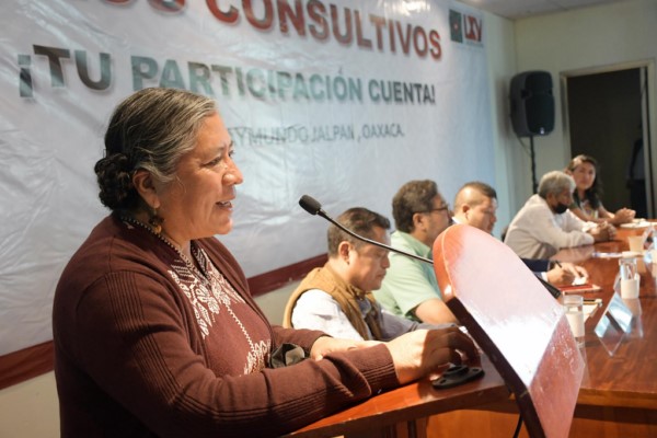 · El objetivo es visibilizar la producción de bienes forestales en Oaxaca