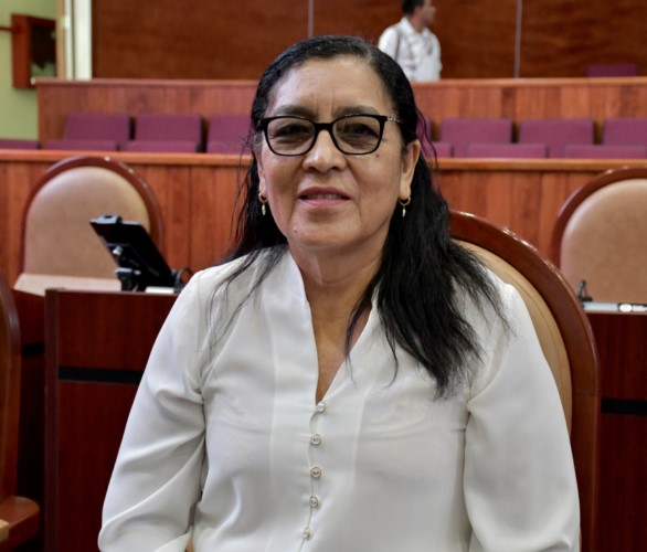 Se busca reducir los daños a la salud de las personas que pese a no ser fumadoras, resultan afectadas