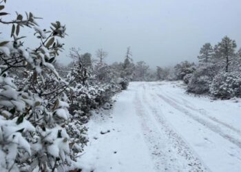 así como en la Sierra Tarahumara.