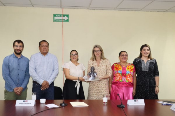 derechos humanos y pueblos indígenas