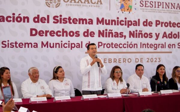 velar por la niñez y su sano desarrollo,