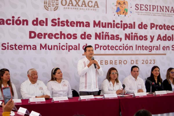 velar por la niñez y su sano desarrollo,