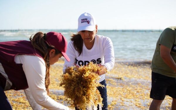 hacer frente al fenómeno y proteger la riqueza de la naturaleza