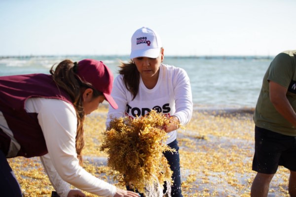 hacer frente al fenómeno y proteger la riqueza de la naturaleza