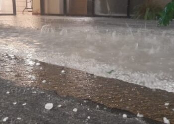 caída de árboles, encharcamientos y la interrupción de energía eléctrica