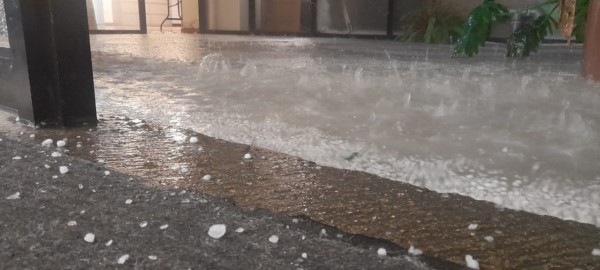 caída de árboles, encharcamientos y la interrupción de energía eléctrica