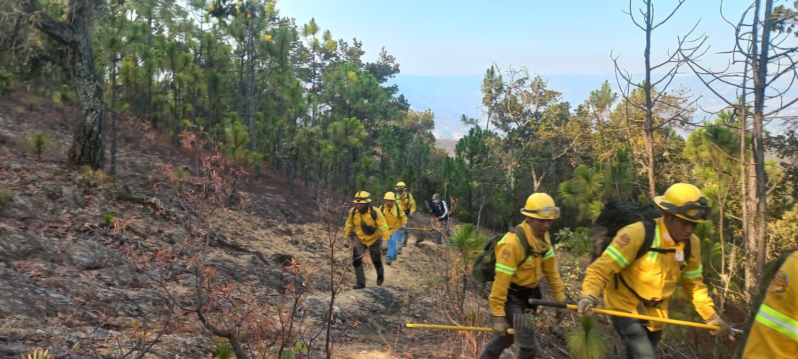 un plan de ataque coordinado vía aérea con un helicóptero de Conagua