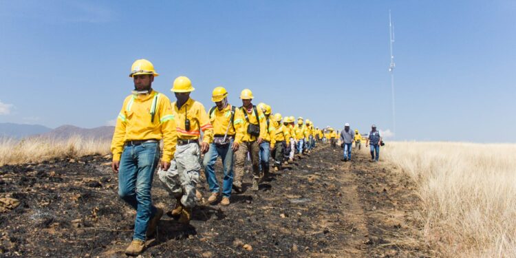 Coesfo y Conafor, con el apoyo de comuneros y personas voluntarias han atendido 54 siniestros