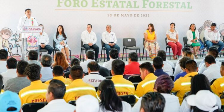 Recursos forestales, motor de desarrollo y de bienestar para el estado: Gobernador Salomón Jara