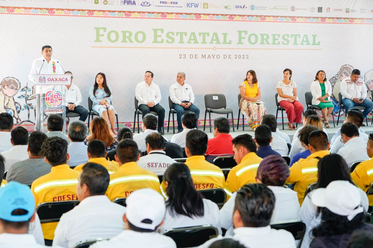 Recursos forestales, motor de desarrollo y de bienestar para el estado: Gobernador Salomón Jara