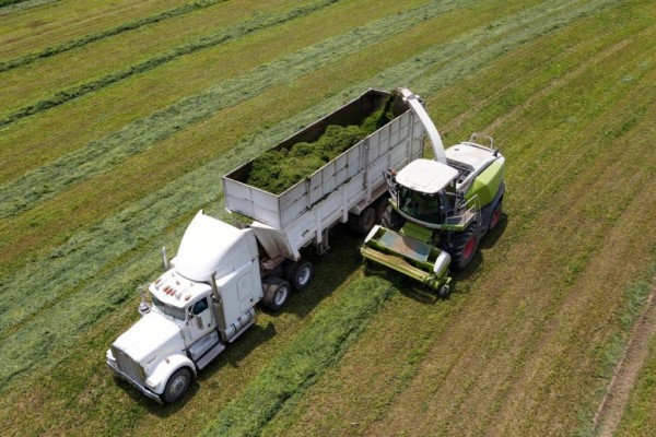 tiene a disposición 14 programas de apoyo para los agroproductores locales.