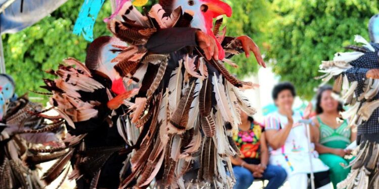 entre otros bailes folclóricos presentados por el Grupo Armonía