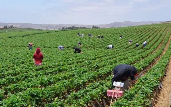 atendieron el tema de las mujeres migrantes oaxaqueñas en Baja California