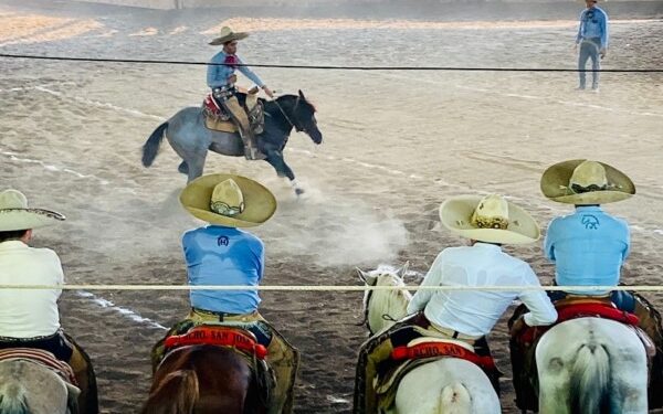 a seguir fortaleciendo la tradición del deporte nacional por excelencia