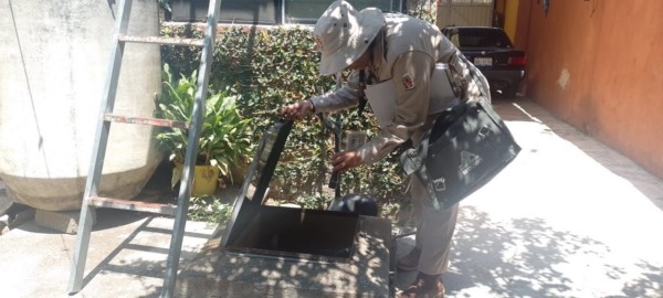 la importancia de lavar, tapar, voltear y tirar todo recipiente que acumule agua